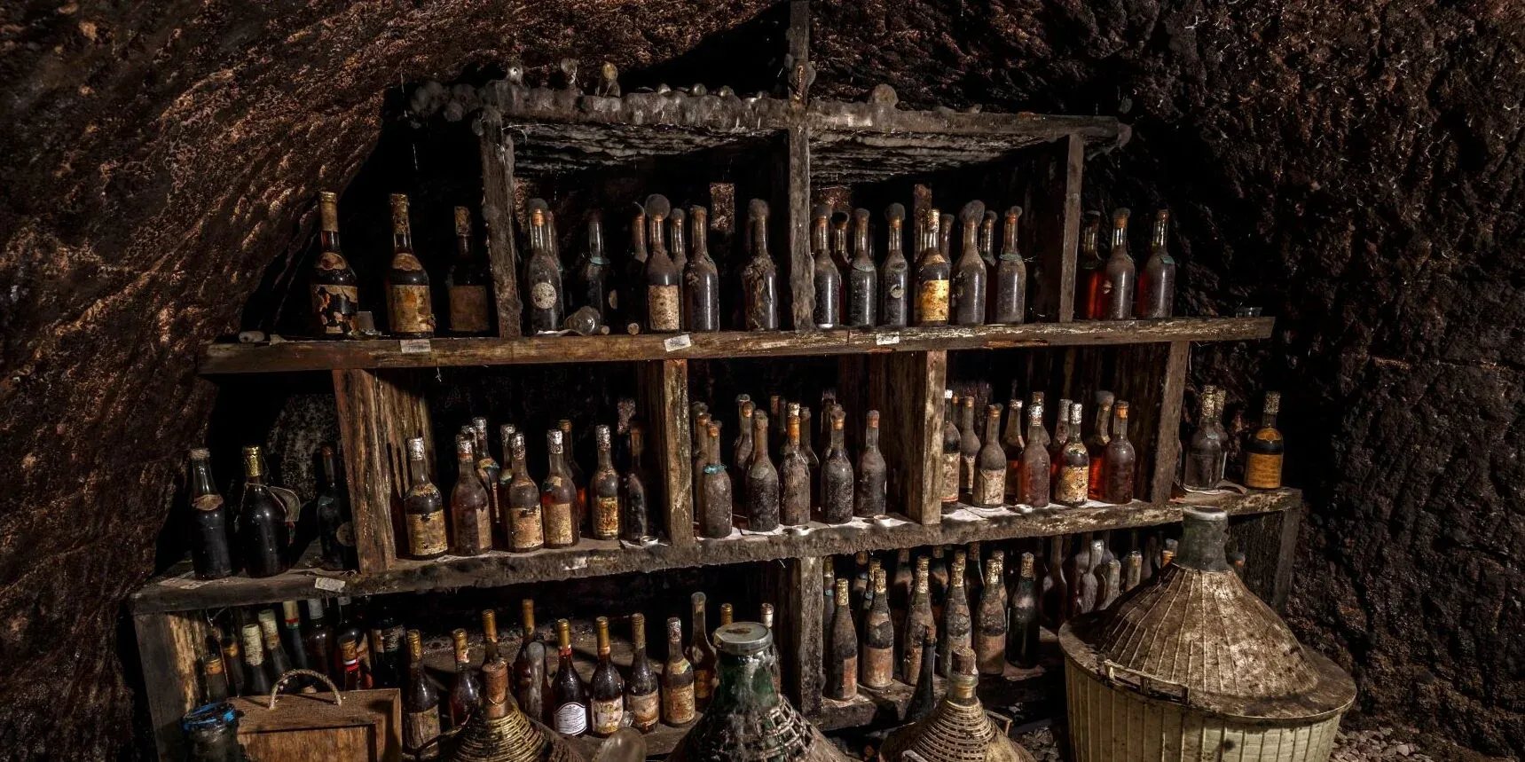 How Data Provenance Drives Machine Learning Risk + Value