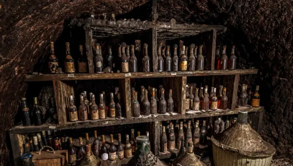 How Data Provenance Drives Machine Learning Risk + Value